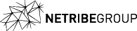 Netribe Group logo