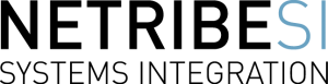 Logo Netribe Systems Integration