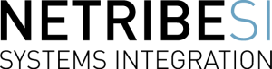 NetribeSI-trasp Logo Netribe Systems Integration