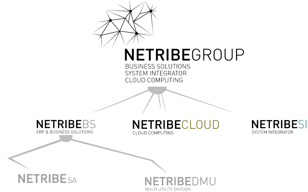 Schema-gruppo-netribe-opt