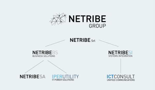 Netribe organigramma 2020