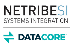 Netribe SI Partner MSP datacore